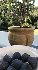 bastide nomade saint paul de vence